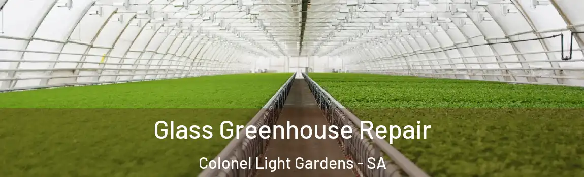 Glass Greenhouse Repair Colonel Light Gardens - SA