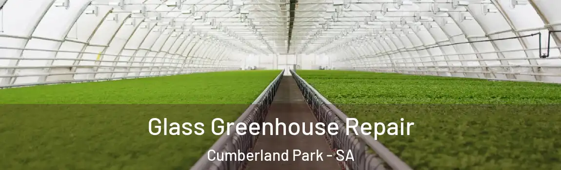  Glass Greenhouse Repair Cumberland Park - SA