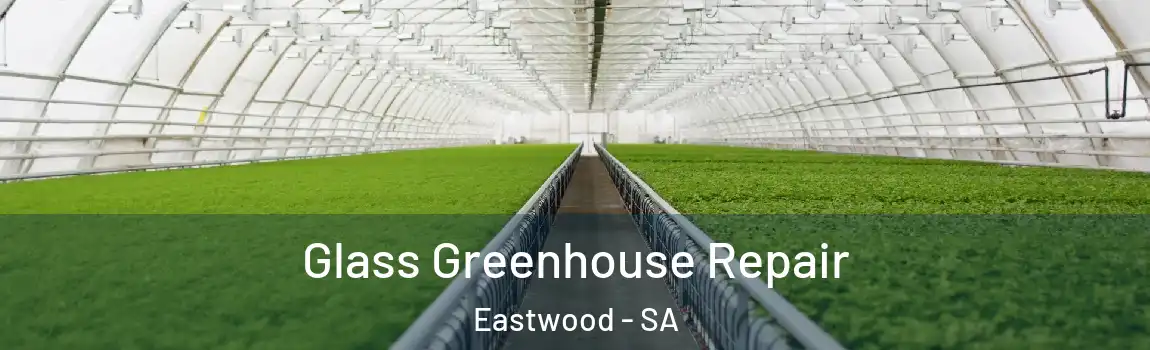  Glass Greenhouse Repair Eastwood - SA