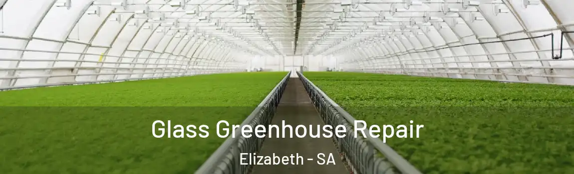 Glass Greenhouse Repair Elizabeth - SA
