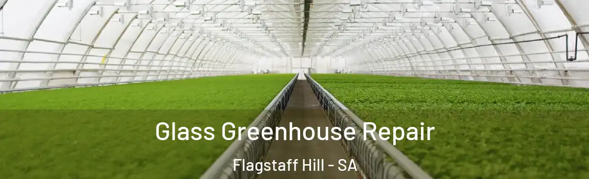 Glass Greenhouse Repair Flagstaff Hill - SA