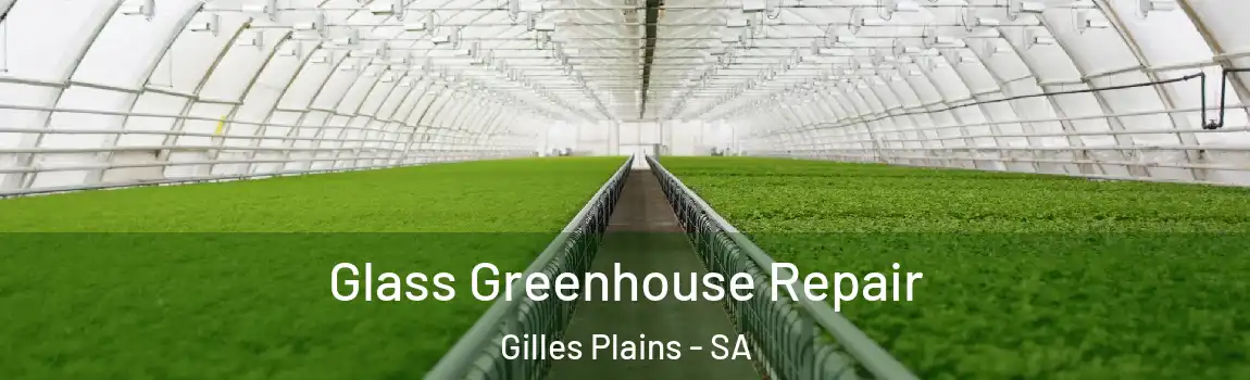 Glass Greenhouse Repair Gilles Plains - SA