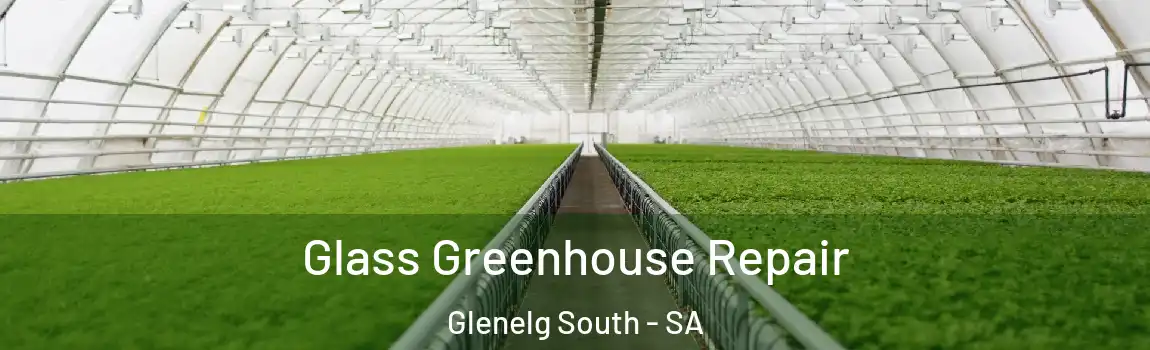 Glass Greenhouse Repair Glenelg South - SA