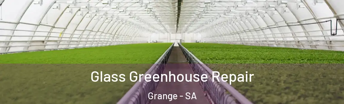 Glass Greenhouse Repair Grange - SA