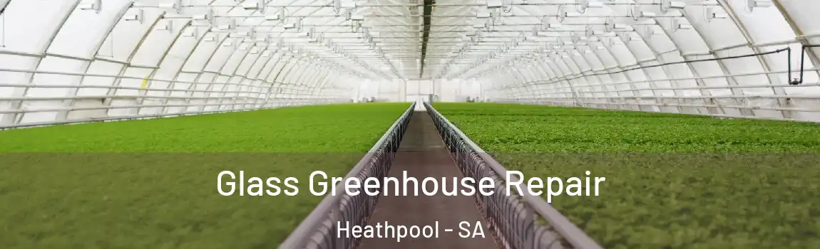 Glass Greenhouse Repair Heathpool - SA