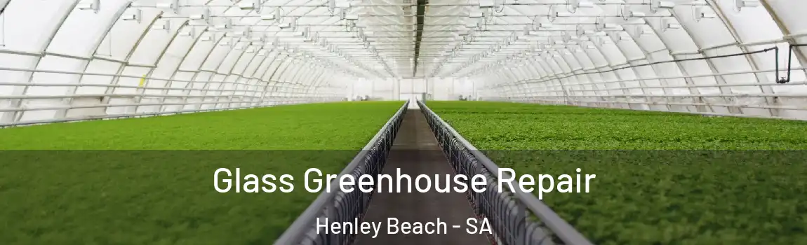 Glass Greenhouse Repair Henley Beach - SA