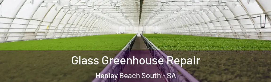 Glass Greenhouse Repair Henley Beach South - SA