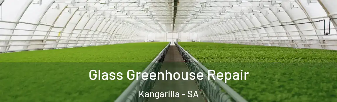 Glass Greenhouse Repair Kangarilla - SA