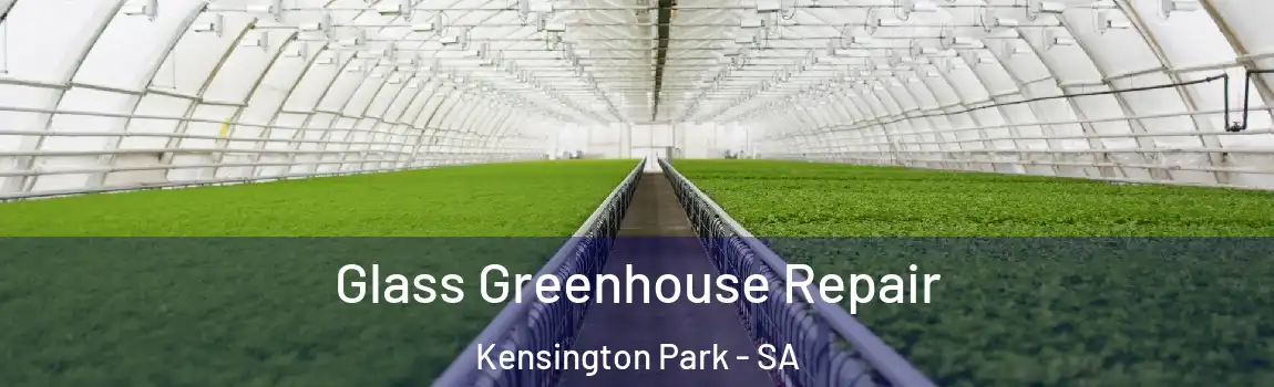  Glass Greenhouse Repair Kensington Park - SA