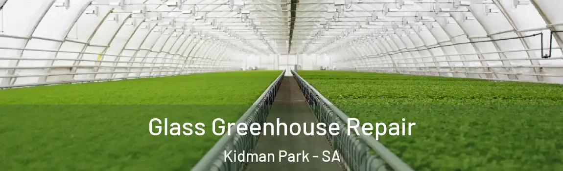  Glass Greenhouse Repair Kidman Park - SA