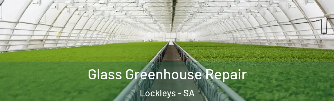 Glass Greenhouse Repair Lockleys - SA