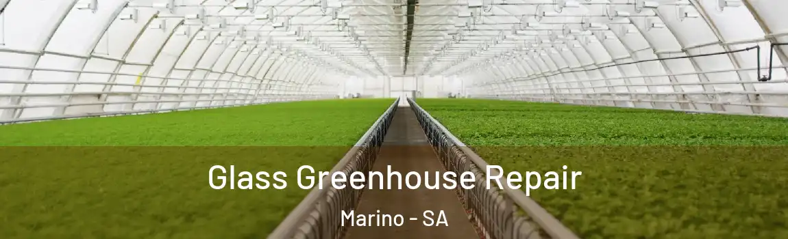  Glass Greenhouse Repair Marino - SA