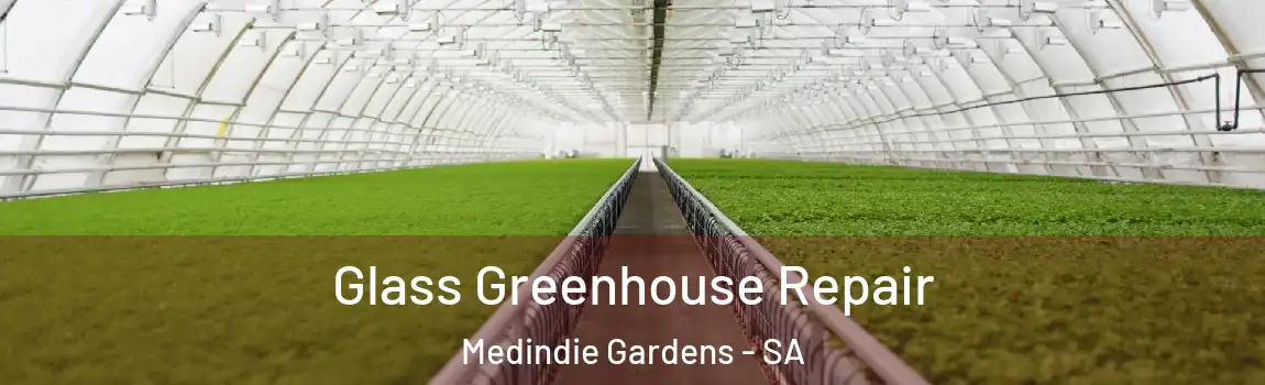 Glass Greenhouse Repair Medindie Gardens - SA