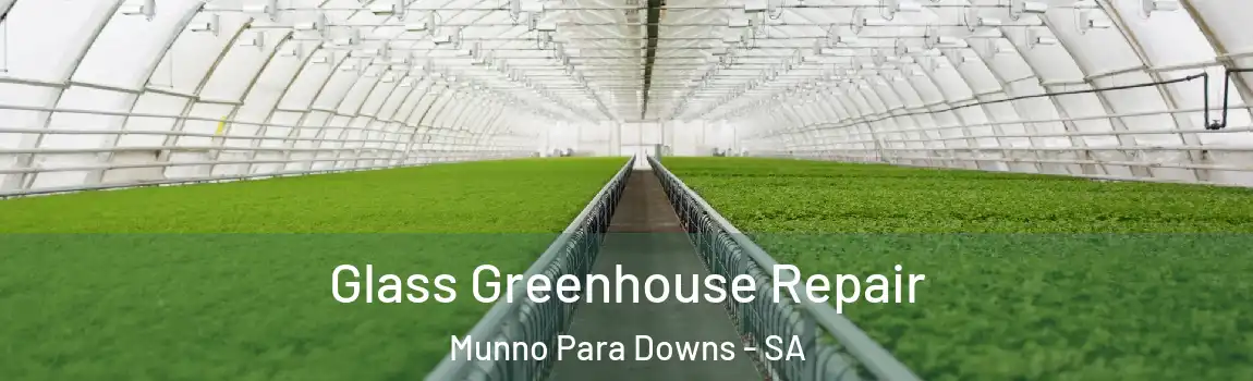 Glass Greenhouse Repair Munno Para Downs - SA