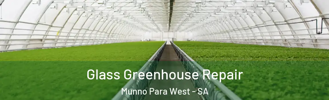  Glass Greenhouse Repair Munno Para West - SA