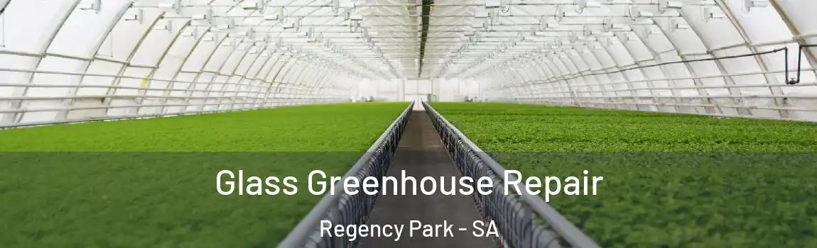 Glass Greenhouse Repair Regency Park - SA