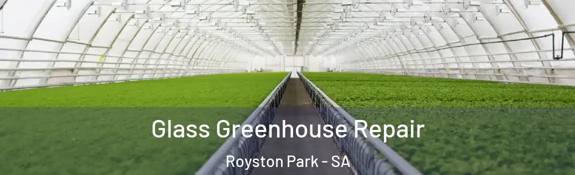  Glass Greenhouse Repair Royston Park - SA