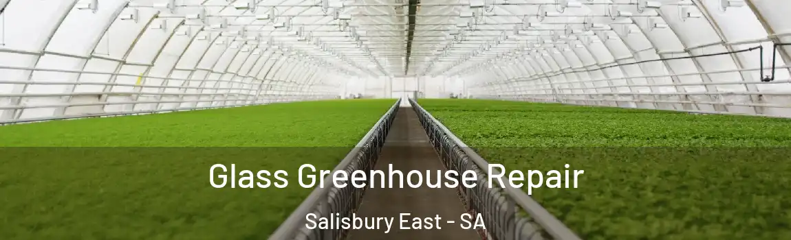 Glass Greenhouse Repair Salisbury East - SA