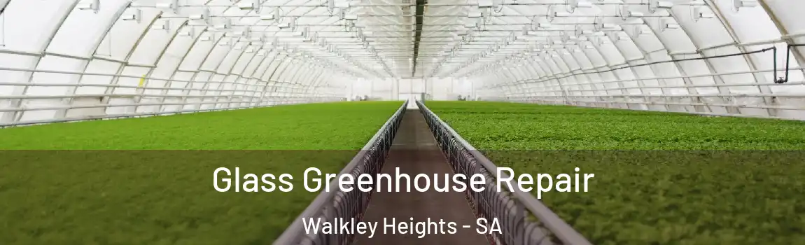  Glass Greenhouse Repair Walkley Heights - SA