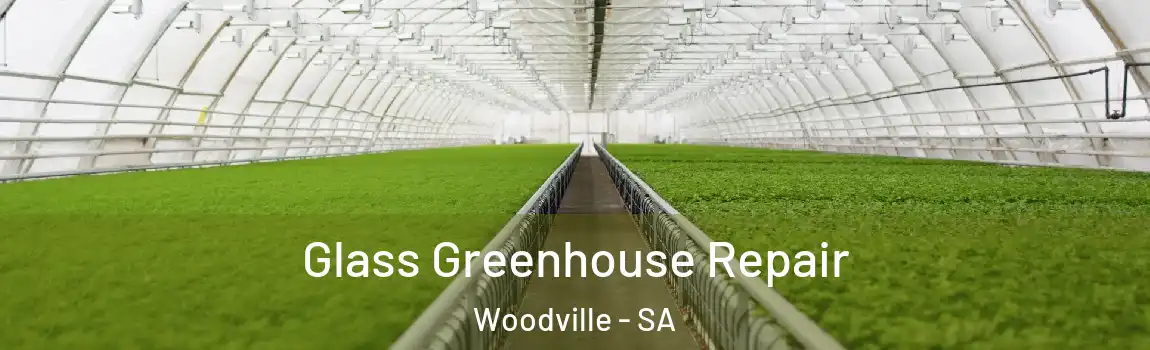  Glass Greenhouse Repair Woodville - SA