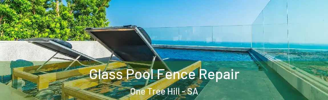 Glass Pool Fence Repair One Tree Hill - SA
