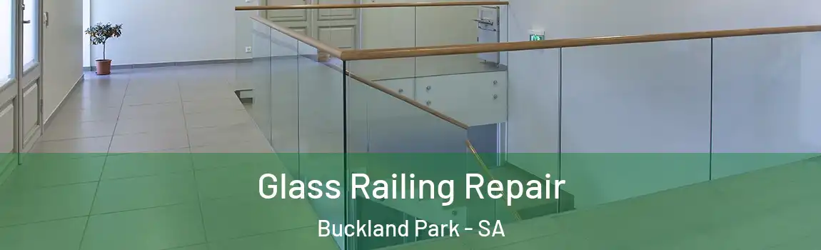 Glass Railing Repair Buckland Park - SA