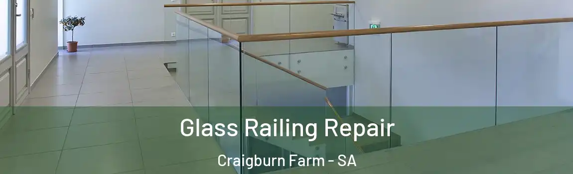 Glass Railing Repair Craigburn Farm - SA