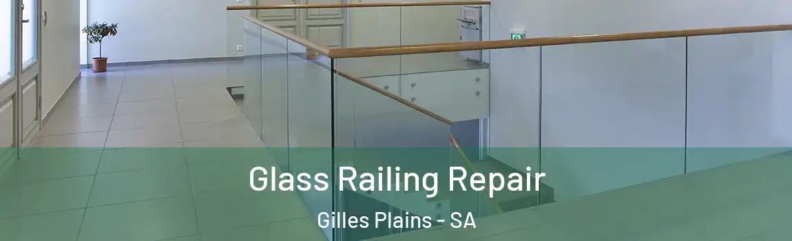 Glass Railing Repair Gilles Plains - SA