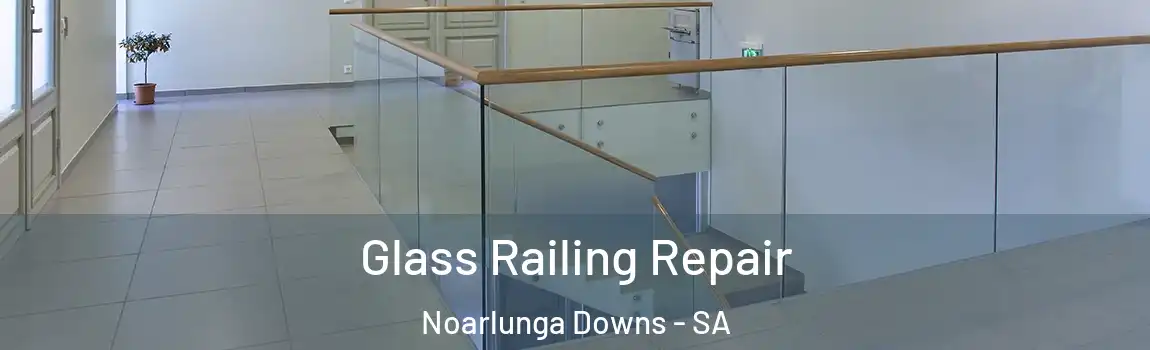  Glass Railing Repair Noarlunga Downs - SA