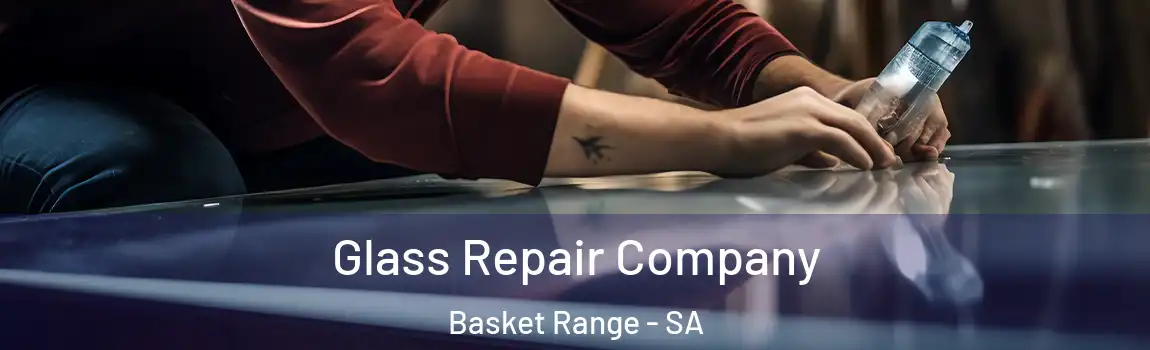 Glass Repair Company Basket Range - SA