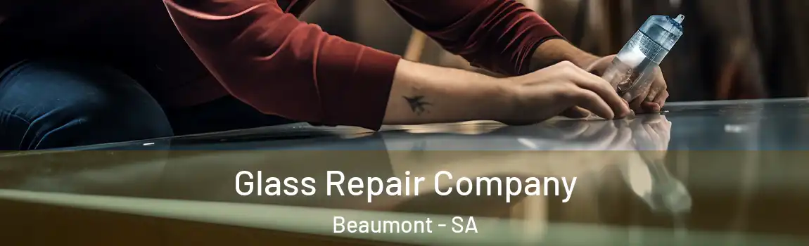 Glass Repair Company Beaumont - SA