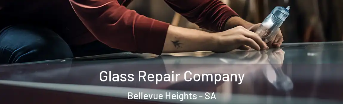 Glass Repair Company Bellevue Heights - SA