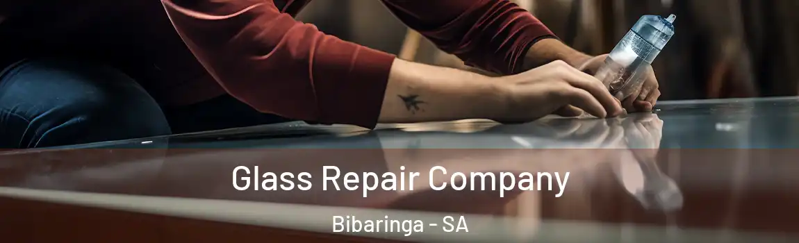 Glass Repair Company Bibaringa - SA