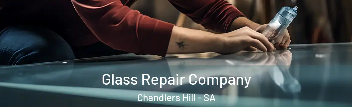 Glass Repair Company Chandlers Hill - SA