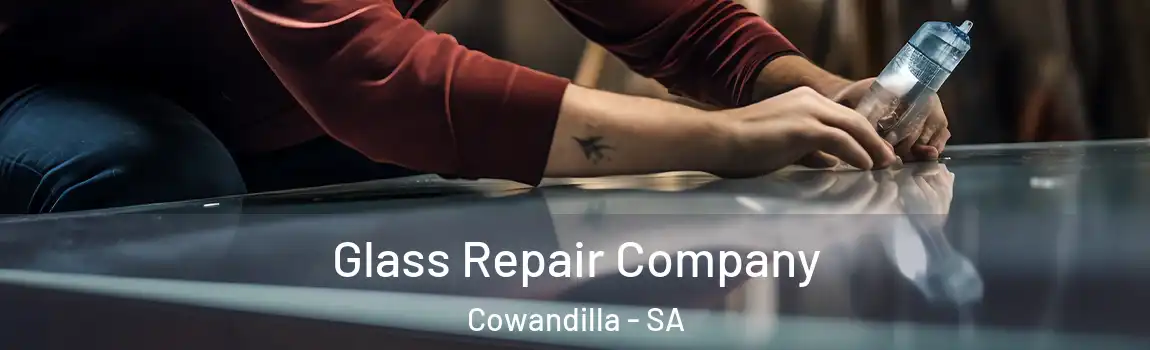  Glass Repair Company Cowandilla - SA