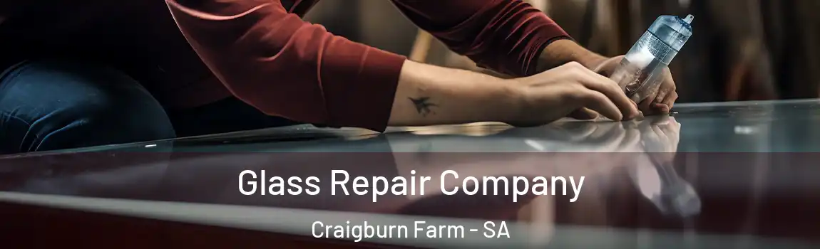  Glass Repair Company Craigburn Farm - SA