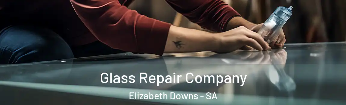 Glass Repair Company Elizabeth Downs - SA