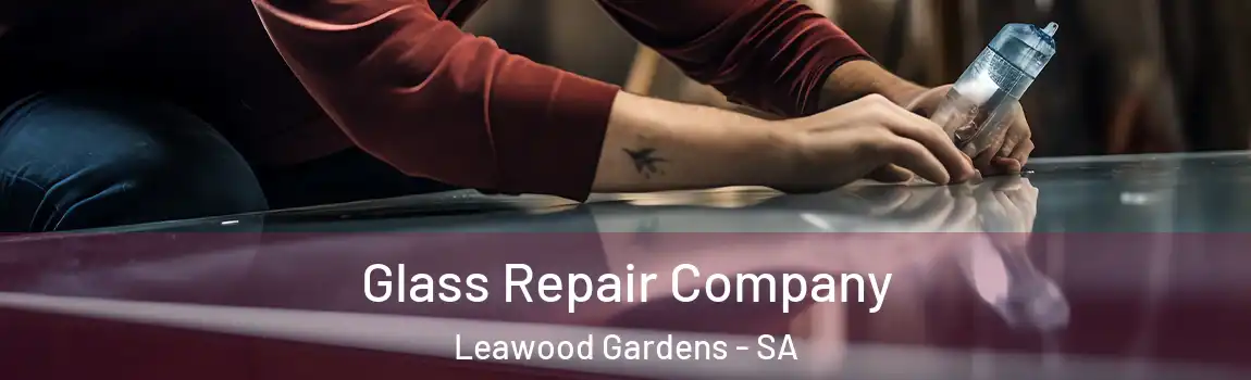  Glass Repair Company Leawood Gardens - SA