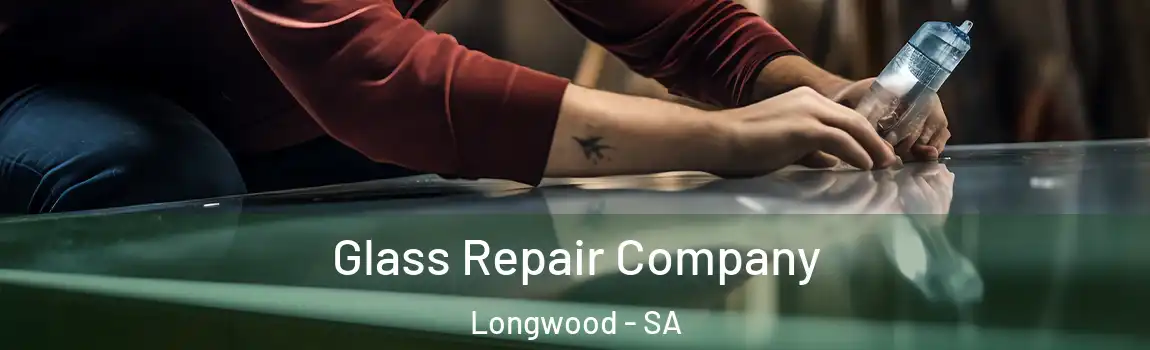 Glass Repair Company Longwood - SA