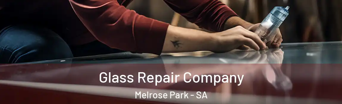  Glass Repair Company Melrose Park - SA