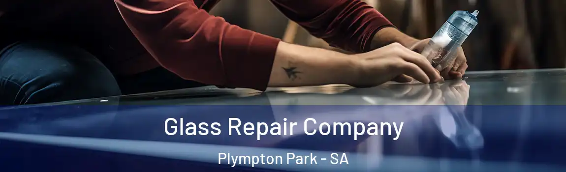  Glass Repair Company Plympton Park - SA
