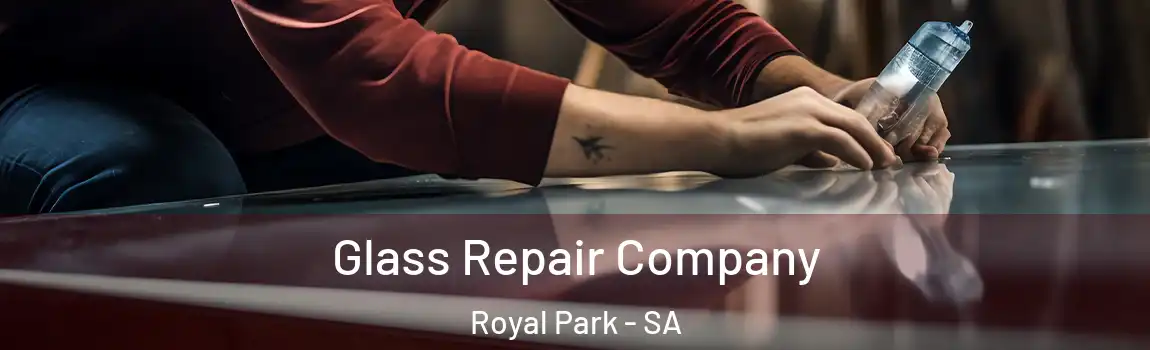 Glass Repair Company Royal Park - SA