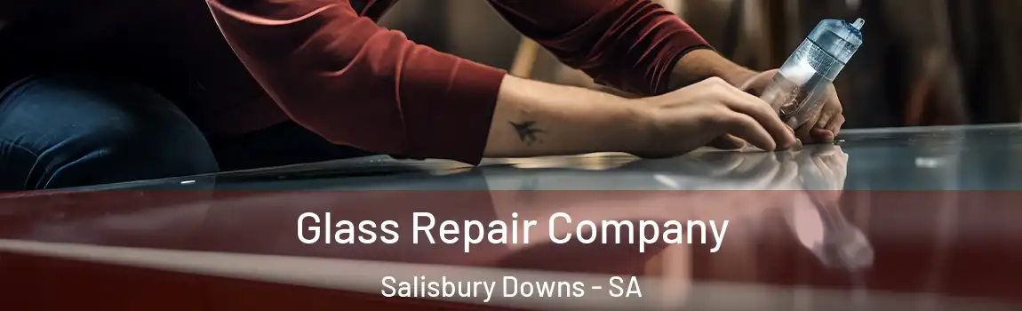 Glass Repair Company Salisbury Downs - SA