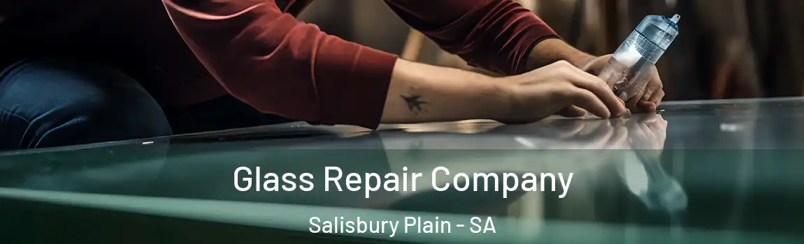 Glass Repair Company Salisbury Plain - SA