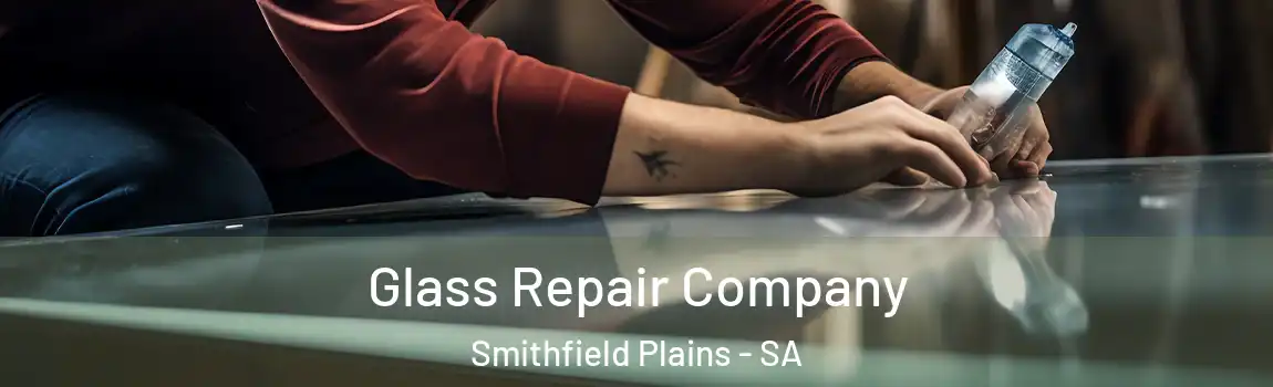 Glass Repair Company Smithfield Plains - SA