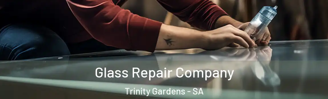  Glass Repair Company Trinity Gardens - SA