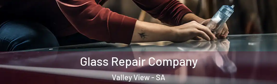 Glass Repair Company Valley View - SA
