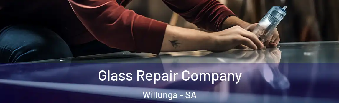  Glass Repair Company Willunga - SA