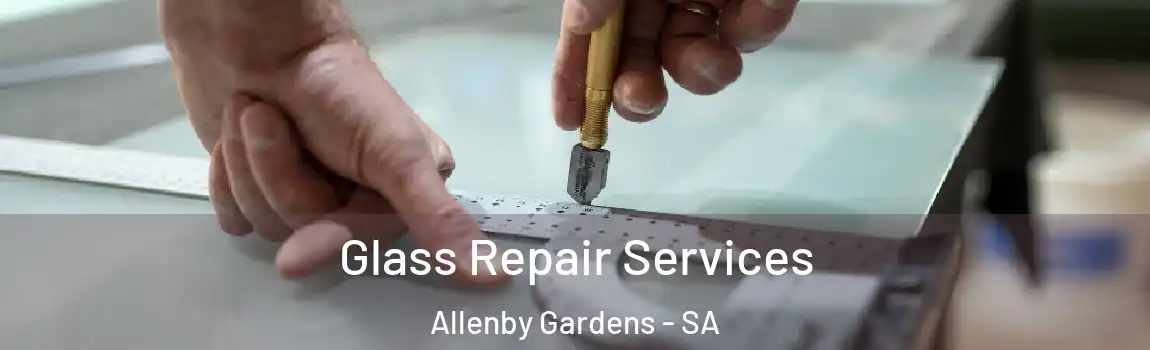 Glass Repair Services Allenby Gardens - SA
