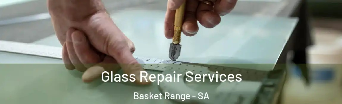 Glass Repair Services Basket Range - SA